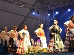 Festival de Folkore en Mula